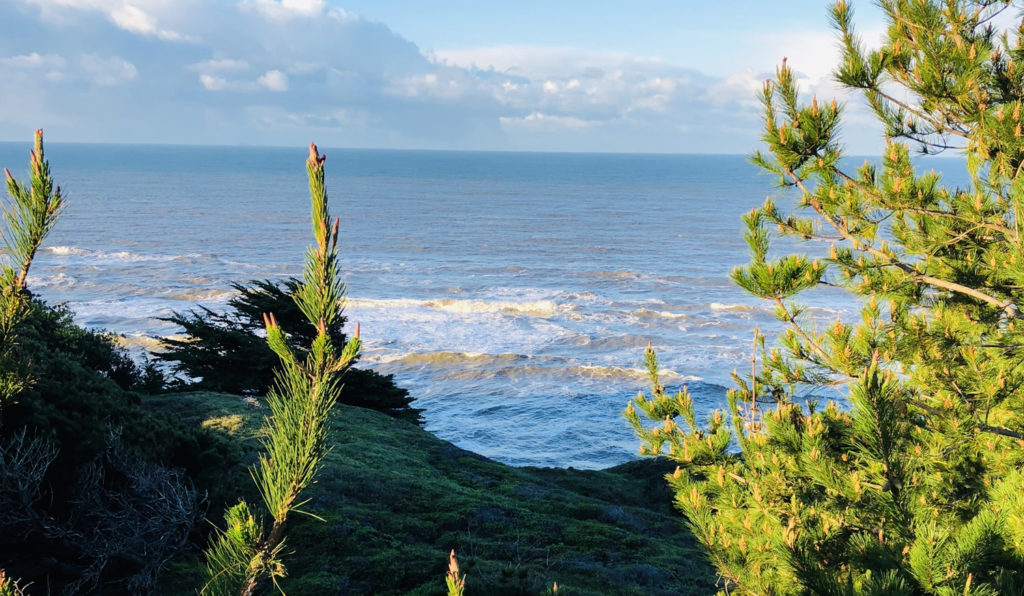 Bolinas, California