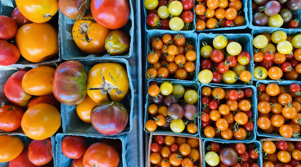 Tomatoes!