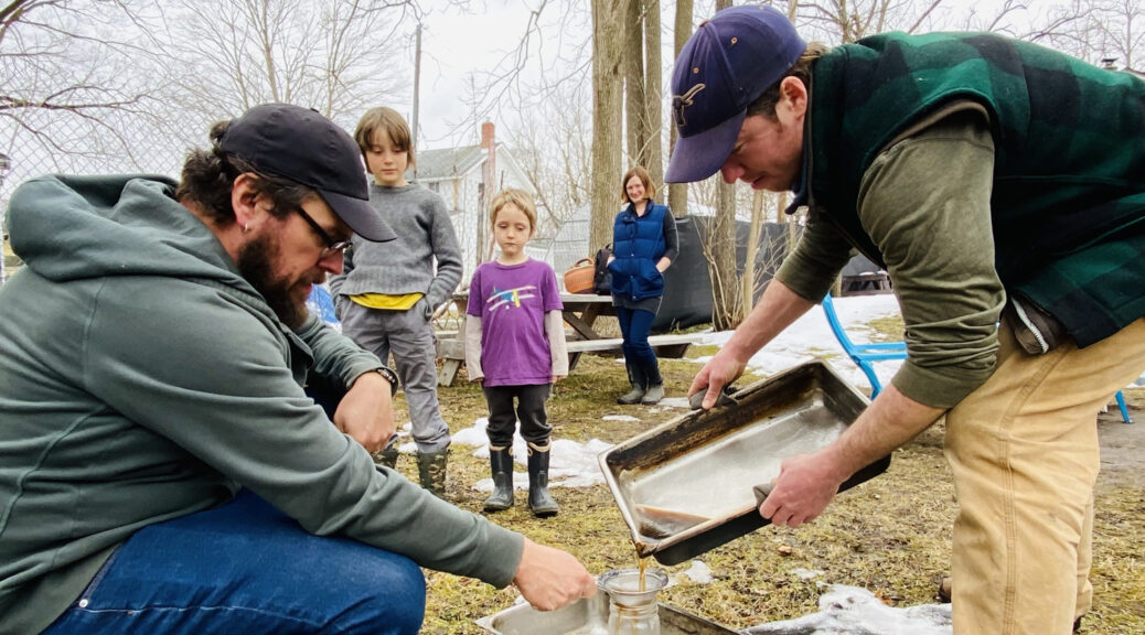 Making black walnut syrup