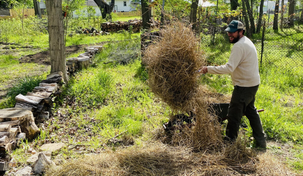 Forking hay